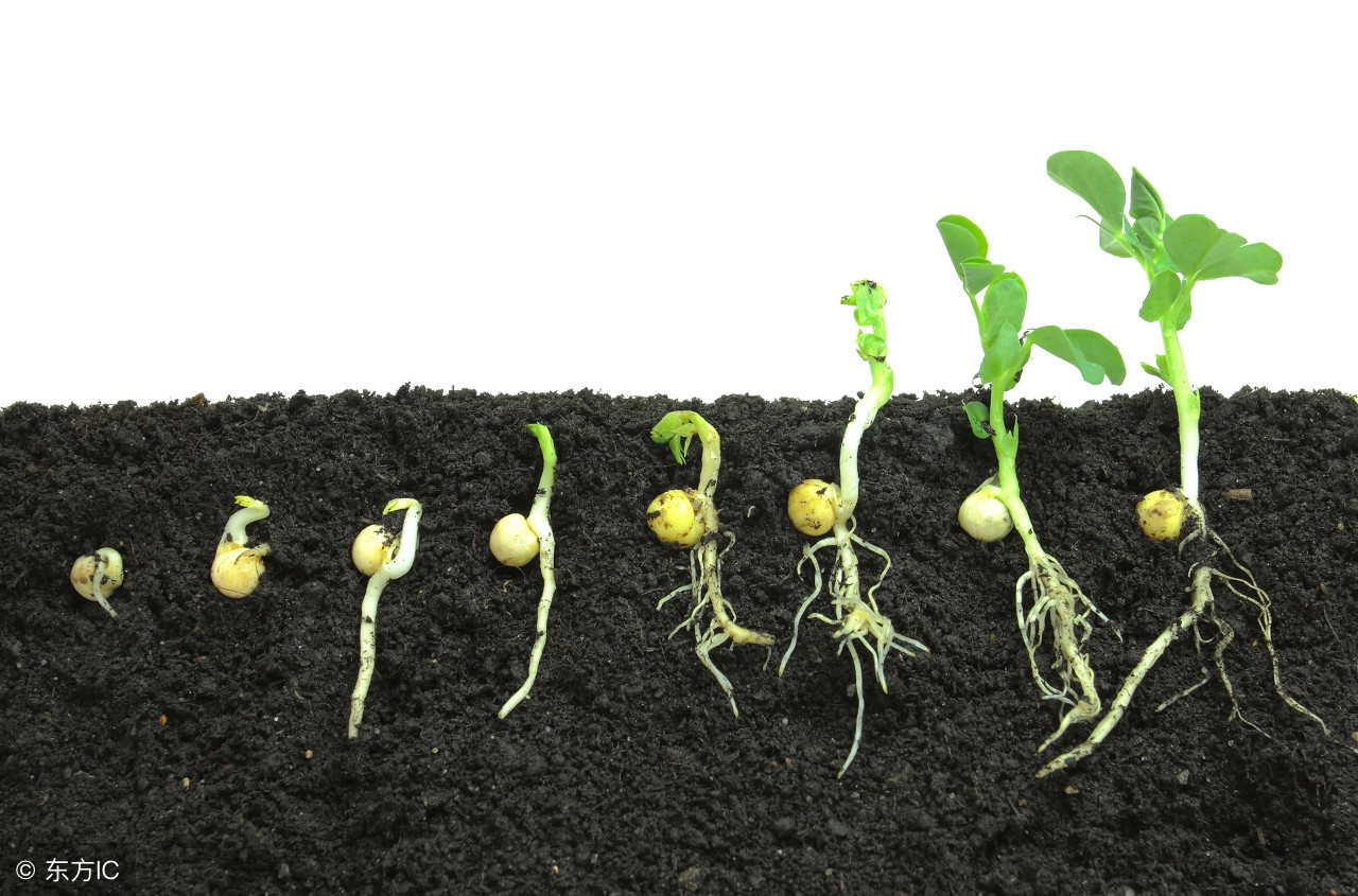 三年级语文课外阅读练习题及答案,三年级学生课外阅读上存在的问题