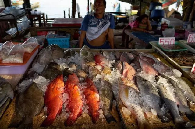 无边泳池度假别墅,无边泳池海景别墅