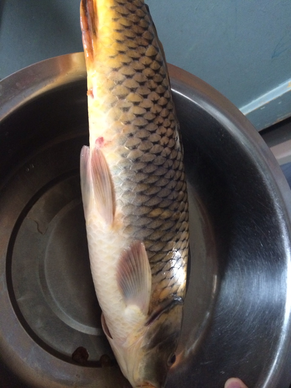 分享秋冬鲫鱼窝料,分享鲫鱼的4种做法