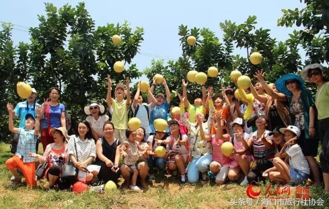这个季节不能错过的柑橘,这个季节不可错过的水果枇杷