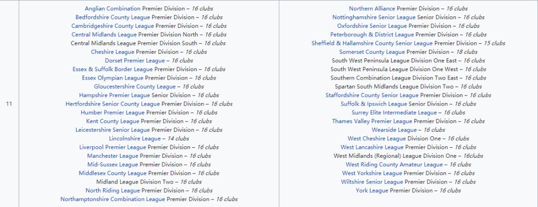 英国足球联赛体系介绍,斯科尔斯欧冠首秀