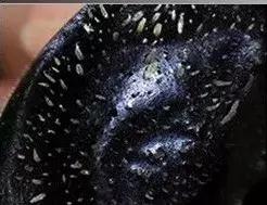 在家用黑头鼻贴去黑头的有效方法,去黑头鼻贴可以真正消灭黑头吗