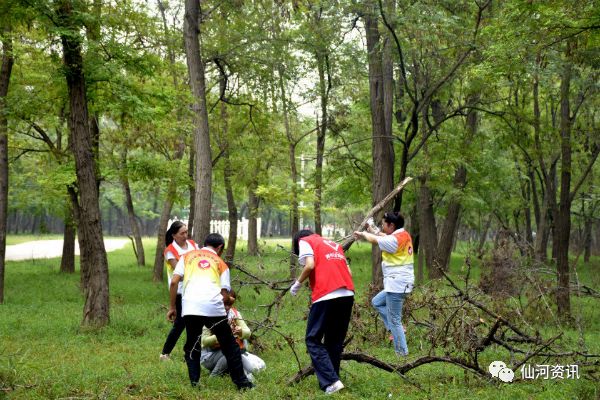 仙河镇志愿服务队,仙河志愿服务队
