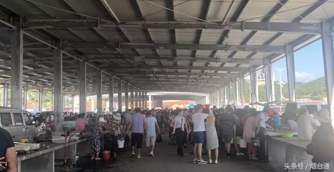 烟台开海现场直播视频,开海现场视频直播