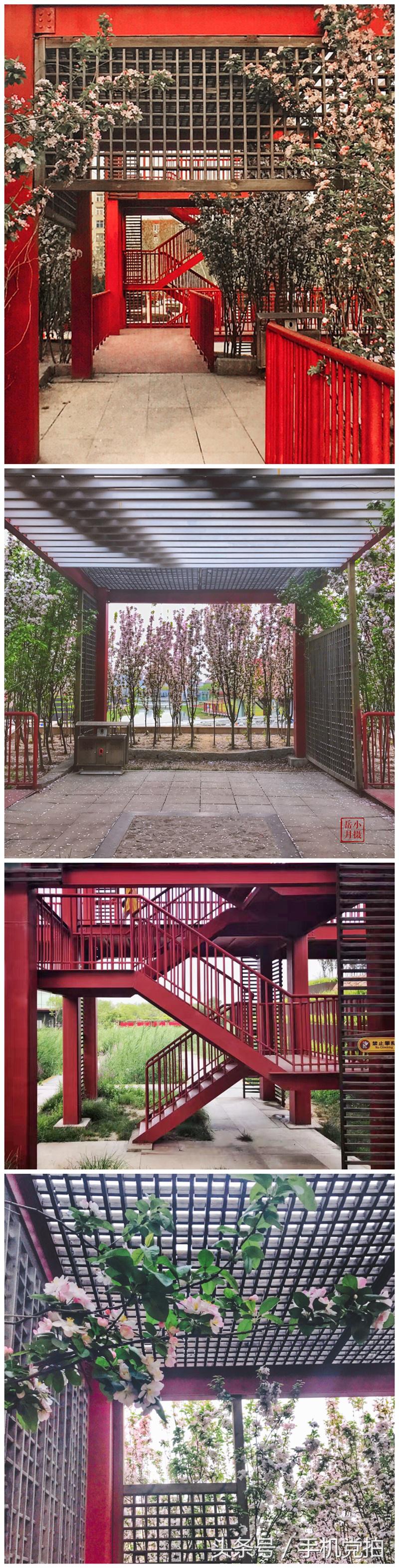 一座桥的20种拍法|教你一招提升“手机摄影观察力”