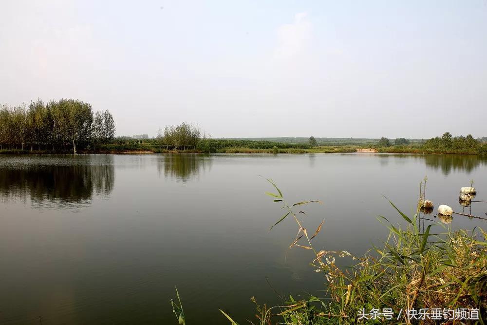 钓鱼技巧和口诀一览表,钓鱼十八招