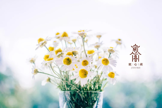 不孕不育试管两次都失败,4个优势卵泡试管成功率