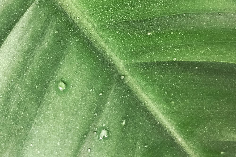 芭乐雅和vc哪个好,芭乐雅补水喷雾怎么样