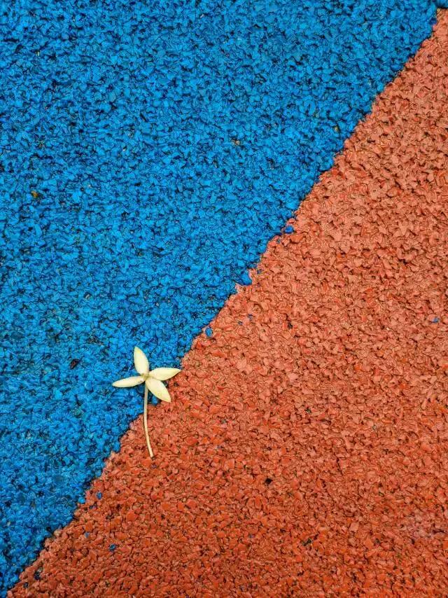 摄影色彩的处理的基本规则,摄影光线和颜色