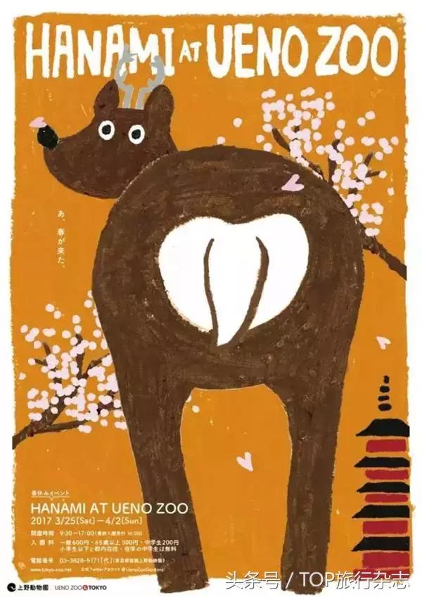 开着车到野外然后看见大象在迁徙,开着皮卡车去寻宝