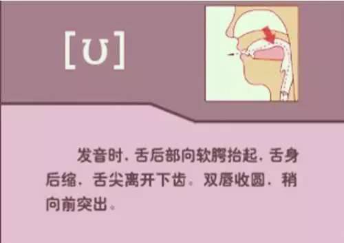 英语音标48个发音有趣教学视频,英语音标48个发音快速记忆