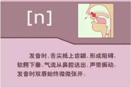 英语音标48个发音有趣教学视频,英语音标48个发音快速记忆