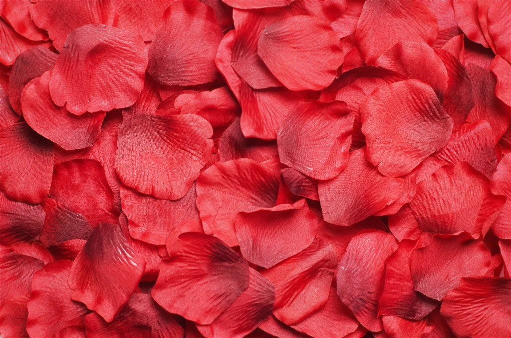 花香精油系列,好闻的花香精油