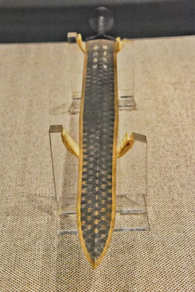 国家禁止出境的钱币文物,国家禁止出口的文物