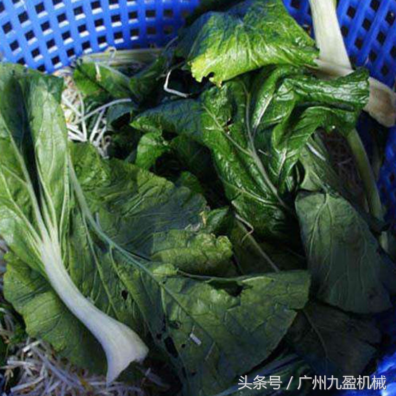 蔬菜脱水机设备介绍,全自动蔬菜脱水机加工设备