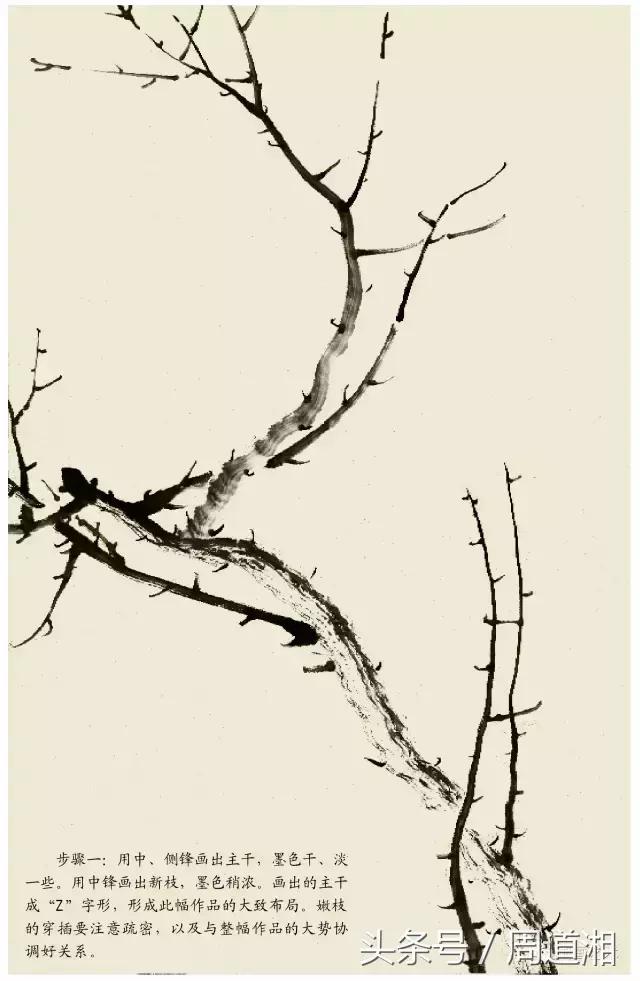 梅花花朵的国画画法视频,大写意梅花枝干国画画法