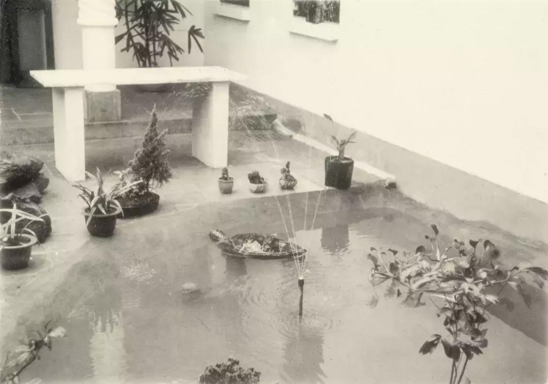 国学大师一生只娶一次妻子,国学大师的最后十年