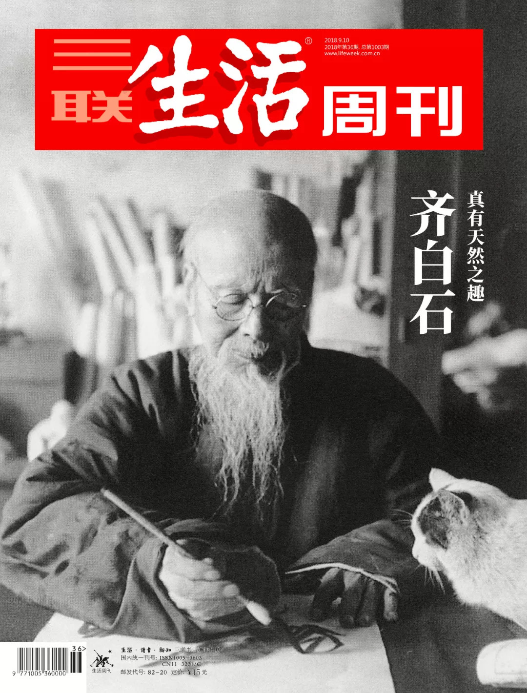 鸭跖草图片有多少种颜色,鸭跖草植物大图