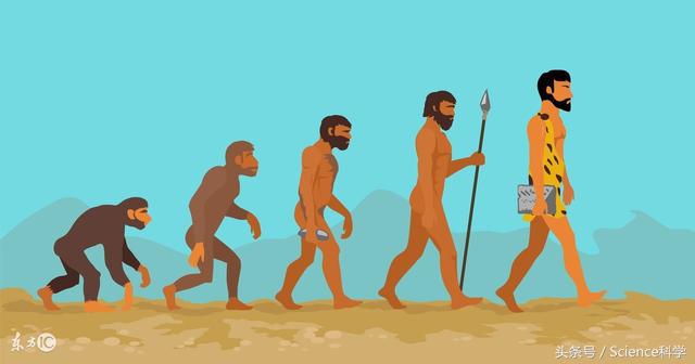 生物进化论能证明人类的起源,人类真的是猿进化的吗