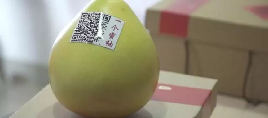 抖音直播、无人机施肥、局长站台，看90后新农人怎样玩转家乡蜜柚