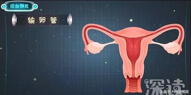 旋转跳跃根本停不下来,旋转跳跃舞不停歇