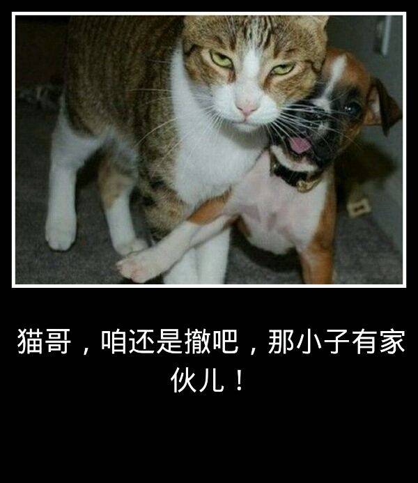 在职场总是很生气怎么办,职场上心理承受能力太差怎么办