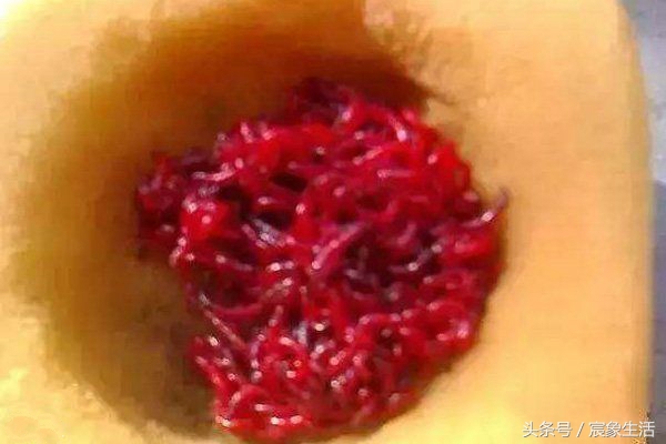 钓鱼用不完的红虫怎样养,红虫钓鱼需要注意什么