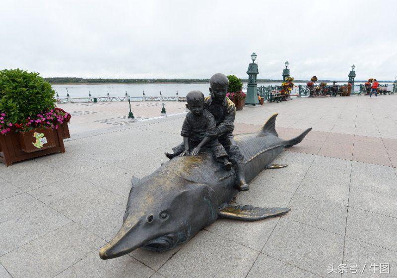 戚振林漫步青岛八大关,戚振林乌苏