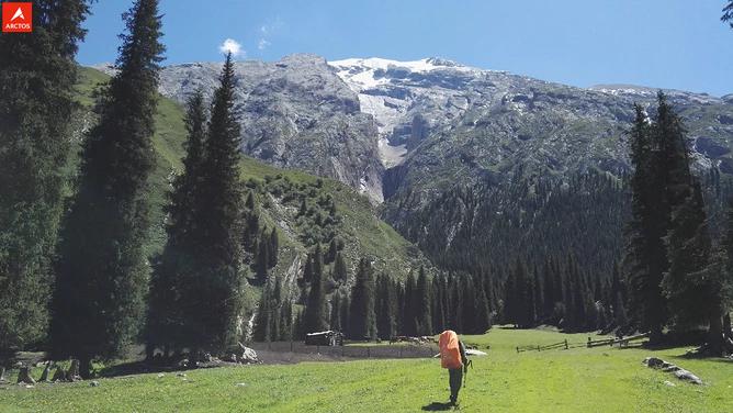 一次偶然，铸就永恒，十年驴龄的他“长存”于此-乌孙驴行记