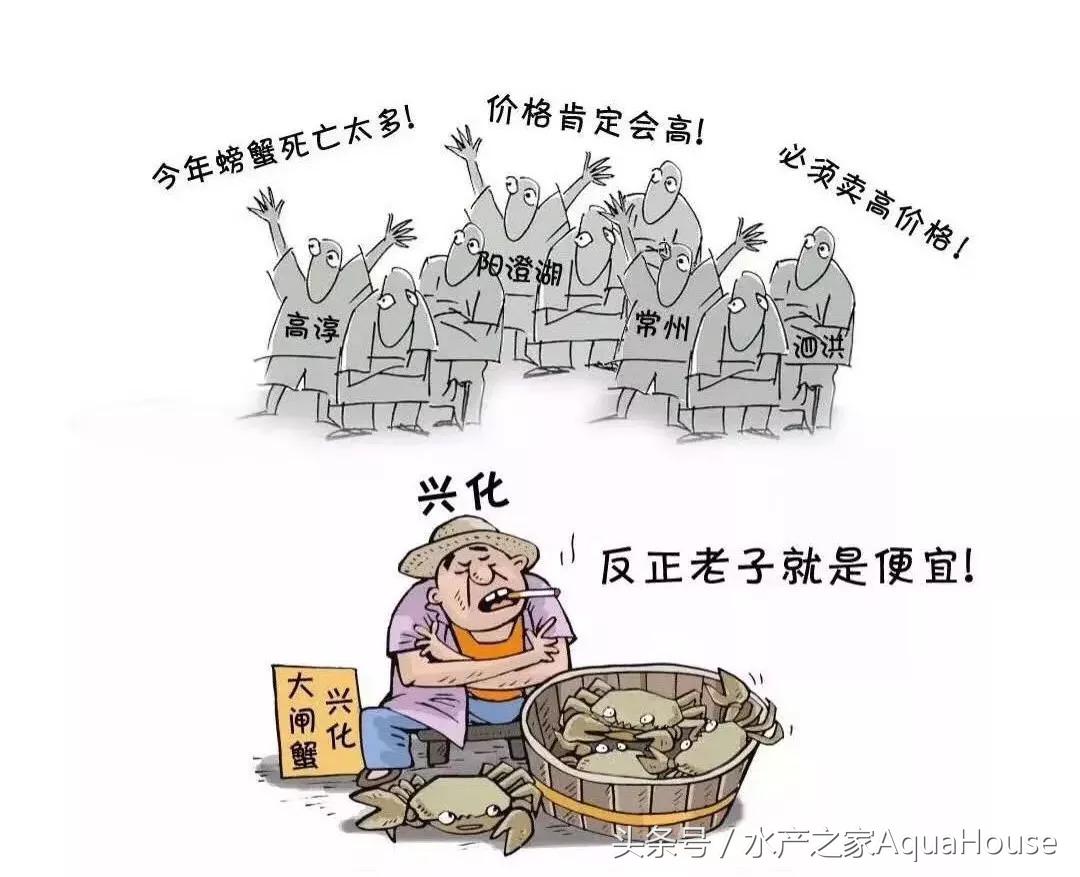 每日水产价格表,11月份水产行情价格表