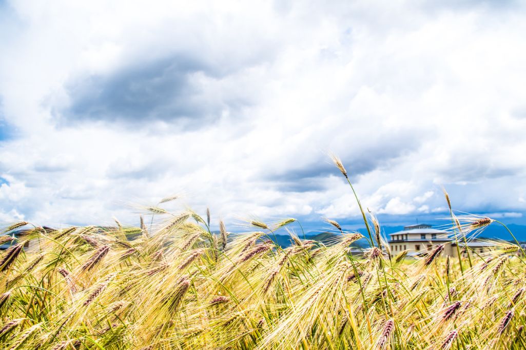 这些绝美小黄片,已经陆续在全国上线,找个时间去扫黄吧