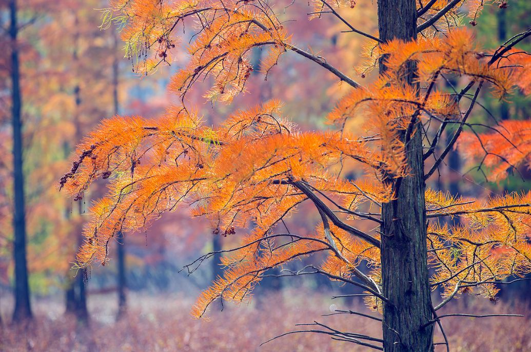 这些绝美小黄片,已经陆续在全国上线,找个时间去扫黄吧