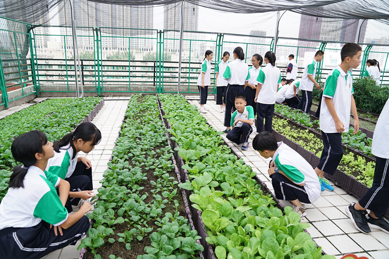 让每个孩子都成才,咸阳天王学校优秀学生