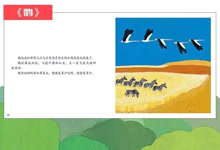 最近流行适合女性的一套书,平价颜值又高容量大的书