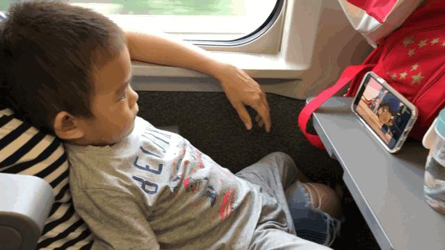 北戴河五大网红地标打卡游攻略,北戴河湿地公园网红打卡地