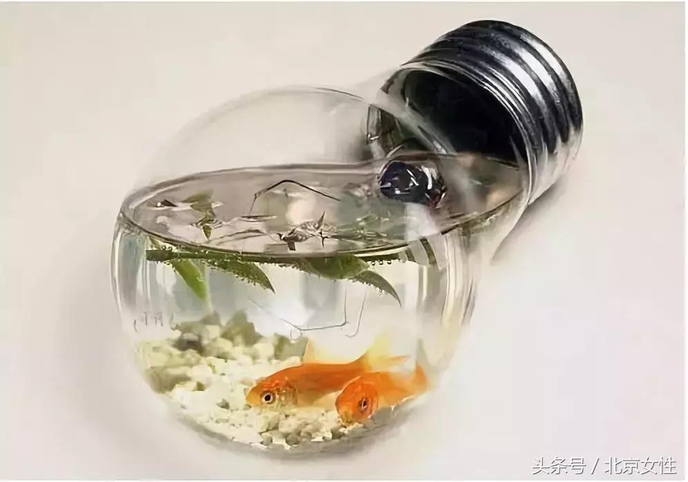 乐活赚钱快吗,乐活赚钱安全吗