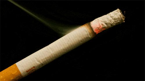 陕西金丝猴香烟价目表,金丝猴香烟老版