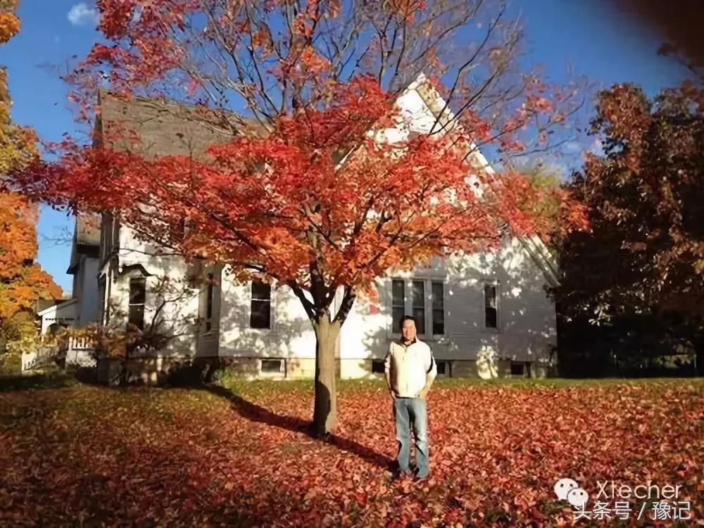 武林风导演,武林风导演教学视频