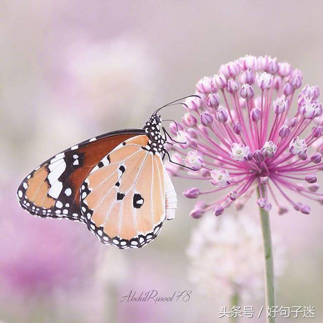 好听的qq个性签名大全,好听的qq个性签名英文