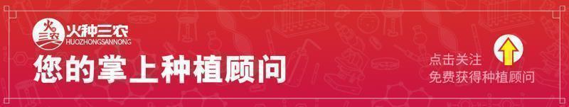 矿物油的作用及杀虫效果,矿物油药效多久