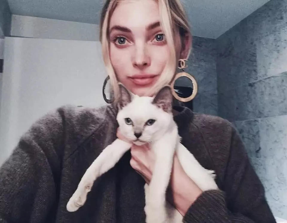 维密天使猫猫走秀,维密超模走秀猫咪