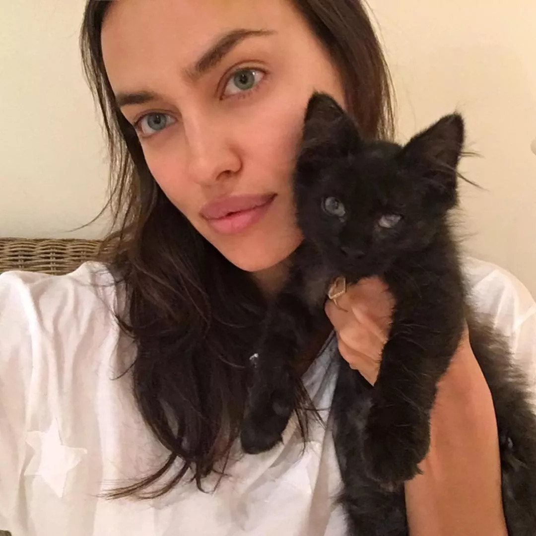 维密天使猫猫走秀,维密超模走秀猫咪