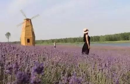 江苏省连云港地图高清版大图,连云港海地图怎么画