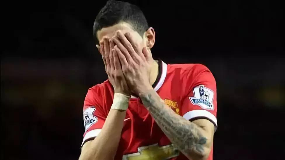 鑸屽皷涓婄殑鐗ц崏,鑸屽皷涓婄殑鑽夊師鐗涙帓