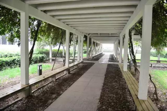 石家庄二中现在实力如何,石家庄二中全面介绍