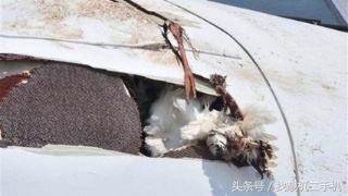 飞机风扇发动机的威力,飞机发动机的威力有多大