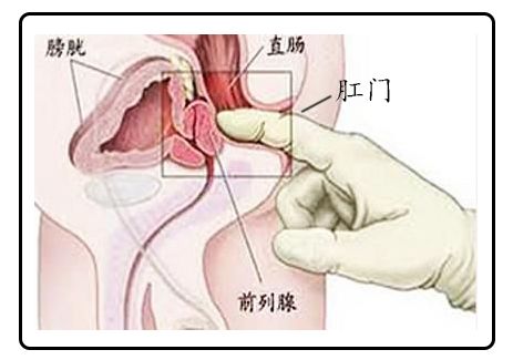 私人医院都有什么服务,正经医院