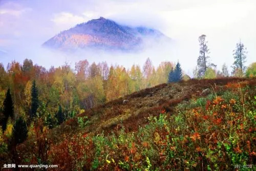 现在出国都是穷人吗,穷人出国能翻身吗