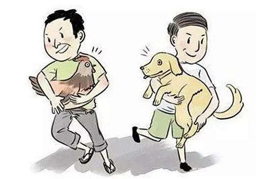 小偷进我家被我家狗咬伤要担责吗,贼进家偷东西被狗咬伤要负责吗