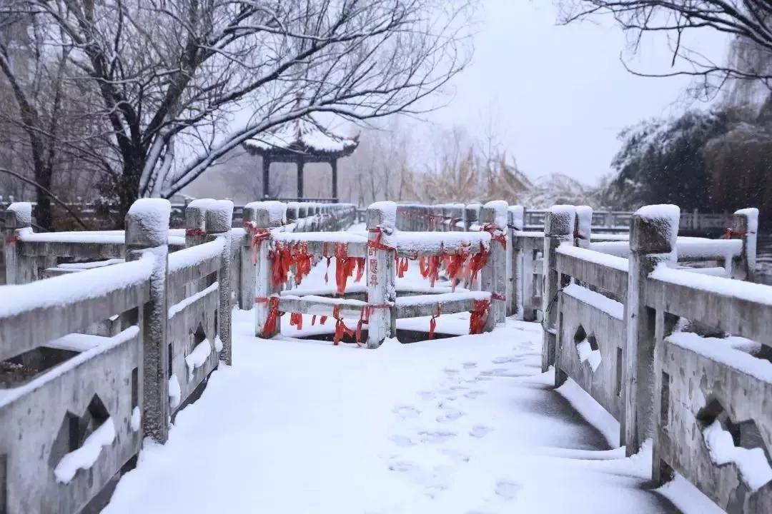 盐城以后有可能成为二线城市吗,盐城有望成为二线城市吗
